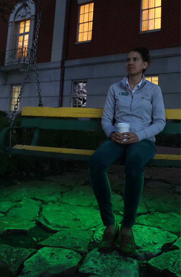 Baylor - Lights Shine Bright swing