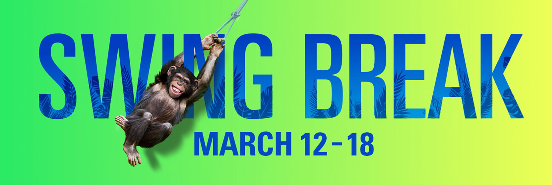 Dallas Zoo swing break billboard