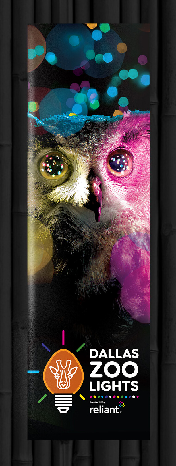 Dallas Zoo - Zoo Lights owl banner
