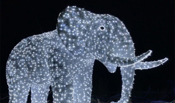 Dallas Zoo - Zoo Lights elephant