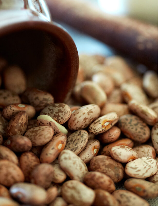 Teasdale beans