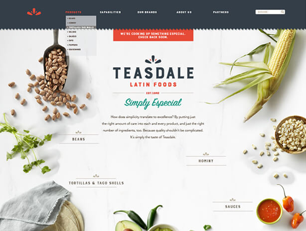 Teasdale website