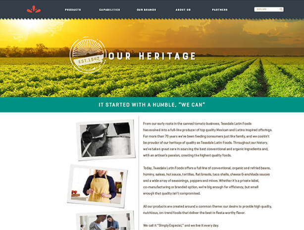 Teasdale website